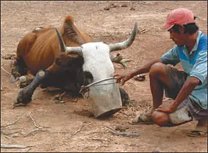 contaminacion