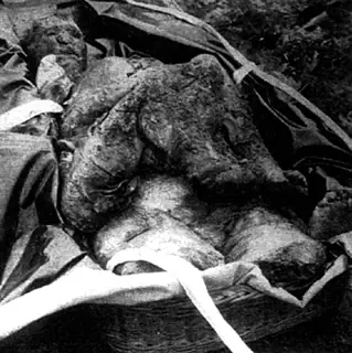 Belle Gunnes: La Viuda negra de La Porte