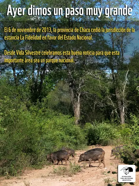 Parque Nacional La Fidelidad: ¡dimos un gran paso!