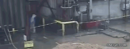 gifs bobos