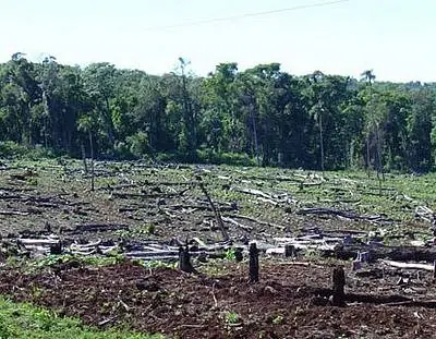 Biodiversidad
