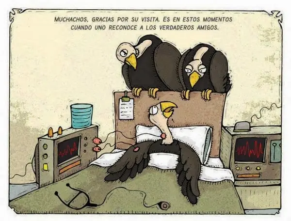 imagenes divertidas