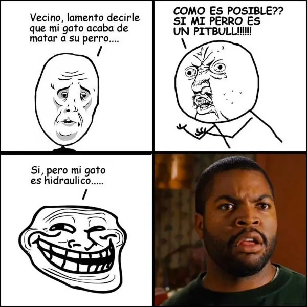 memes
