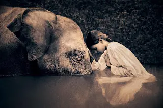 Buddha