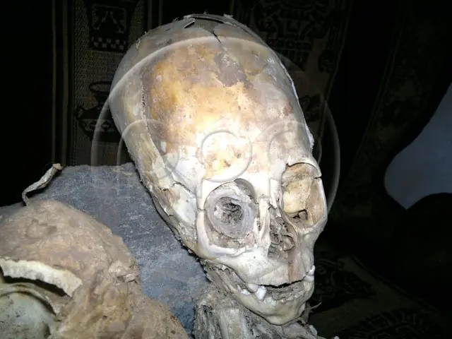 momia extraterrestre en peru (cusco)