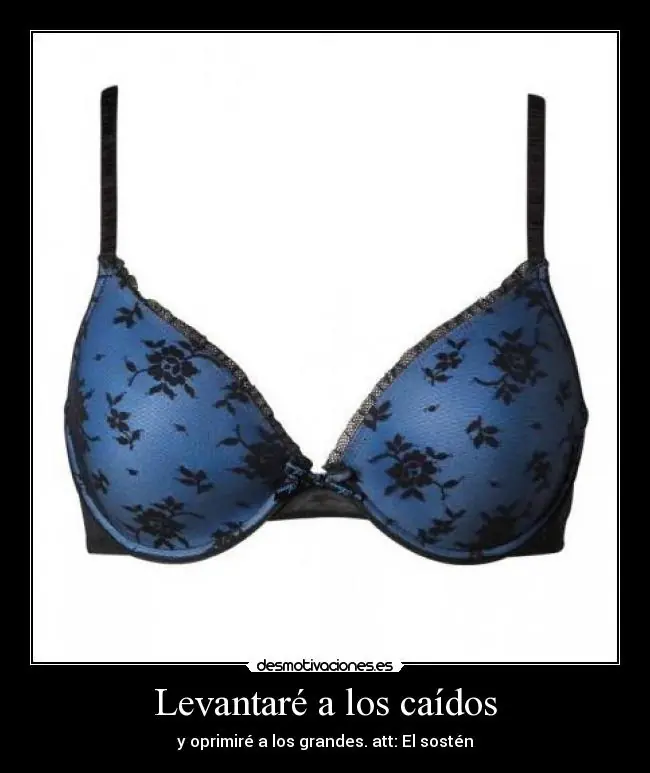Diferencia entre un Sosten y una Camisa