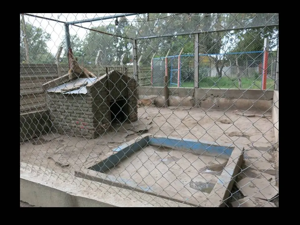 colonbsas