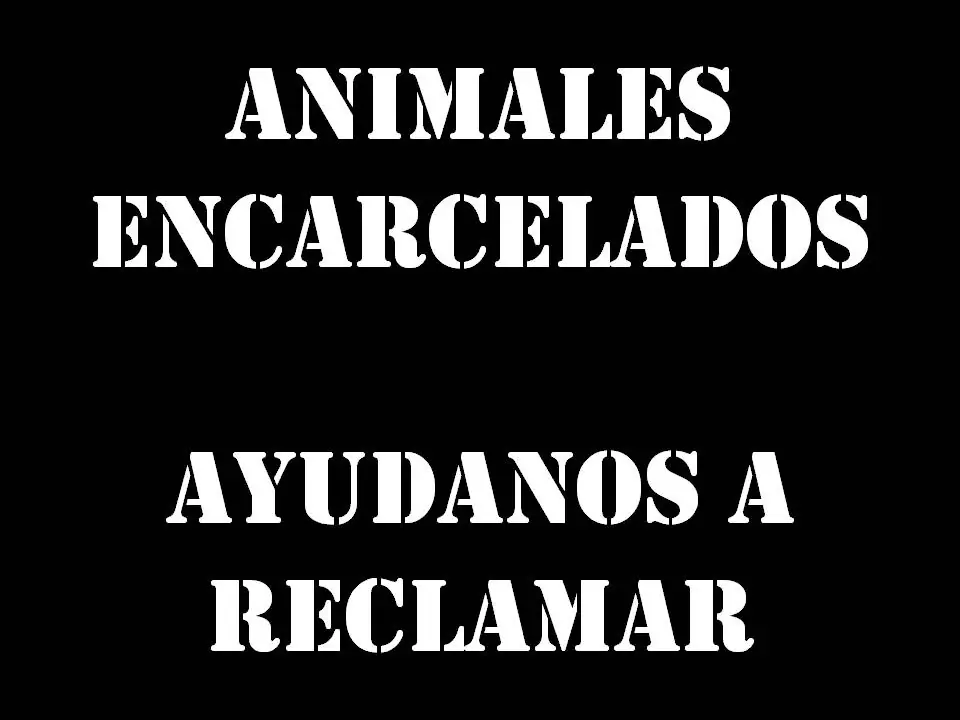 Animales encerrados [Colon BS AS]