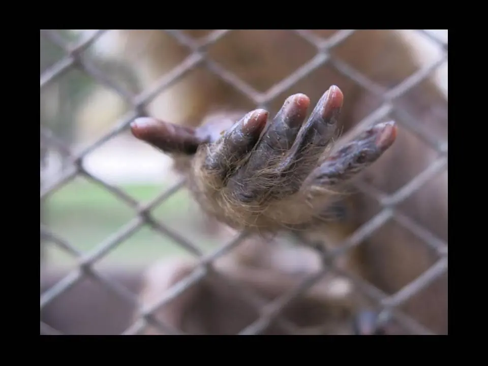 zoo