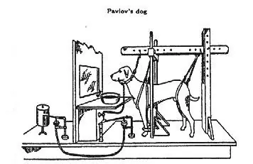 Experimento de Pávlov