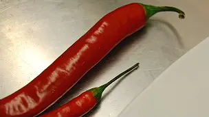 sabias que