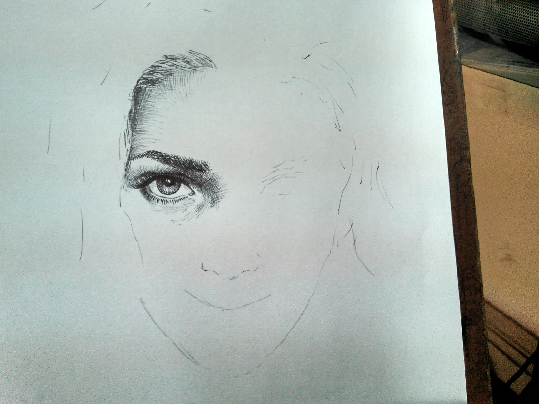 scarlet johansson retrato en bic