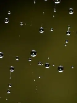 Historias Conmovedoras Para Reflexionar(a que te emocionas)