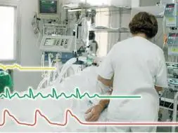 vida mas alla de la muerte