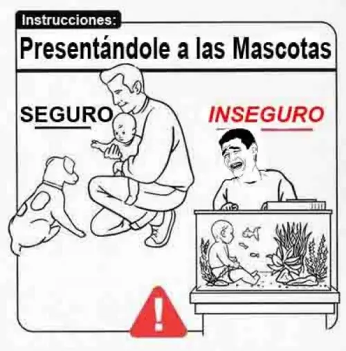criar