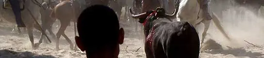 ¿Que vale mas la vida humana o animal ?