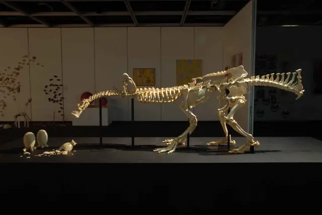 arte