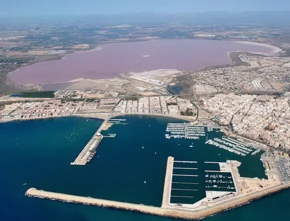 rosados