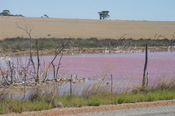 Increibles lagos rosados!! Los mas bellos del planeta!!
