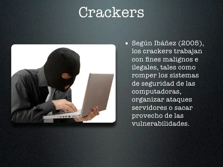 ciberdelincuencia