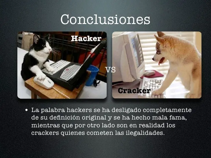 Hackers