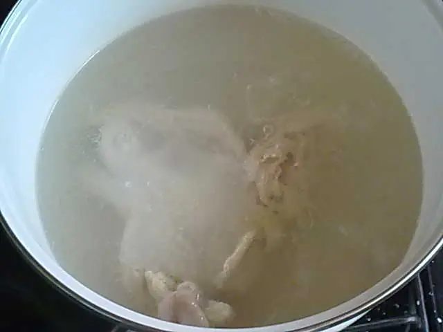 jengibre