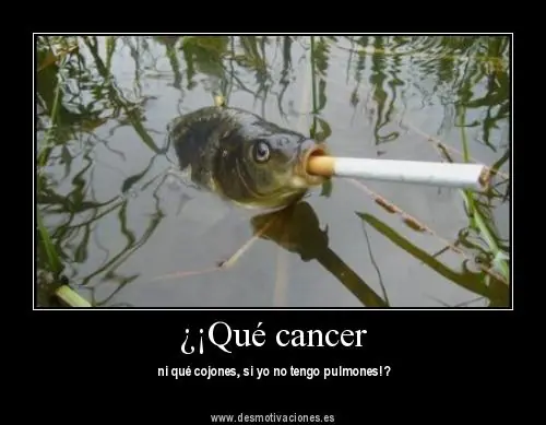 gracioso