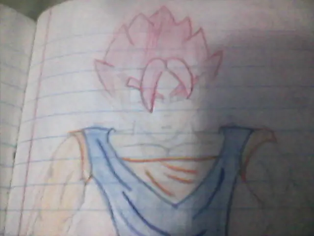 gohan