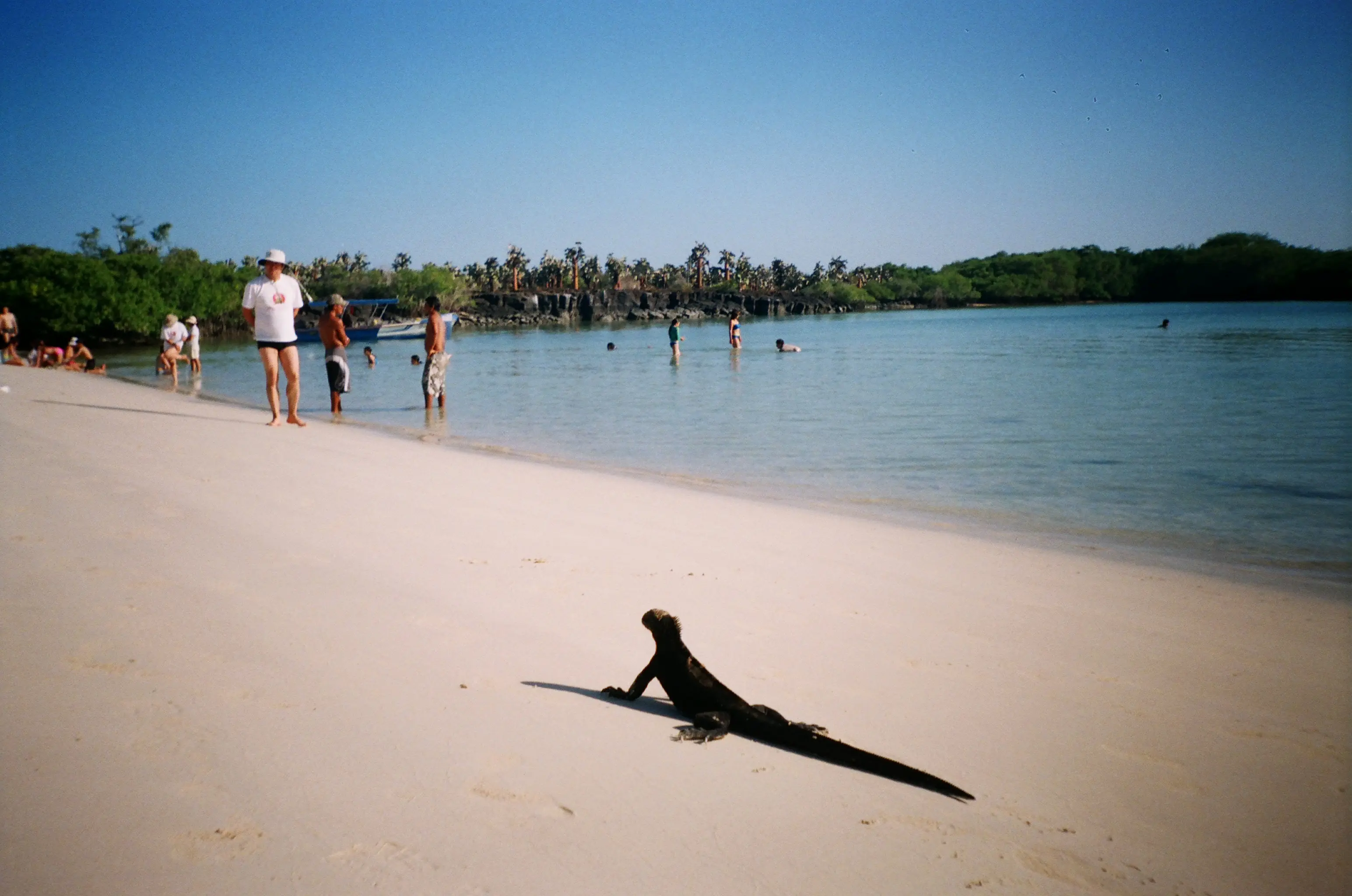 Galápagos, las islas encantadas...