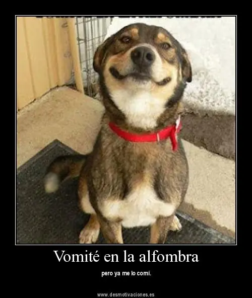 imagenes
