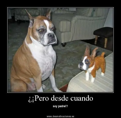 imagenes