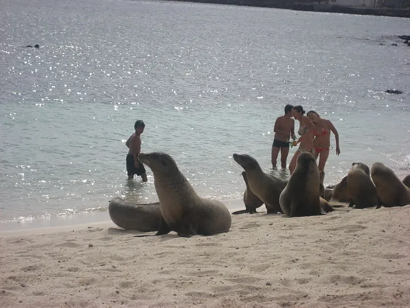 Islas Galápagos