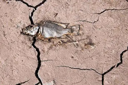 el agua como arma