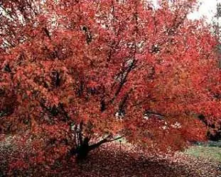 Queres tocar la Bateria y no te decidis? Aca te ayudo