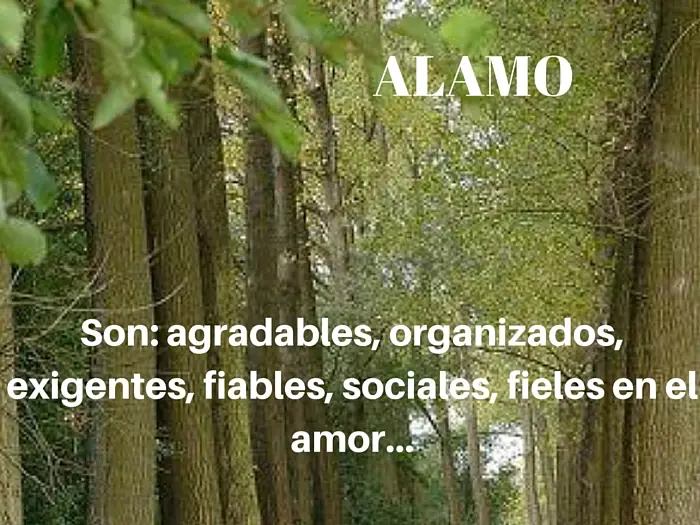personalidad