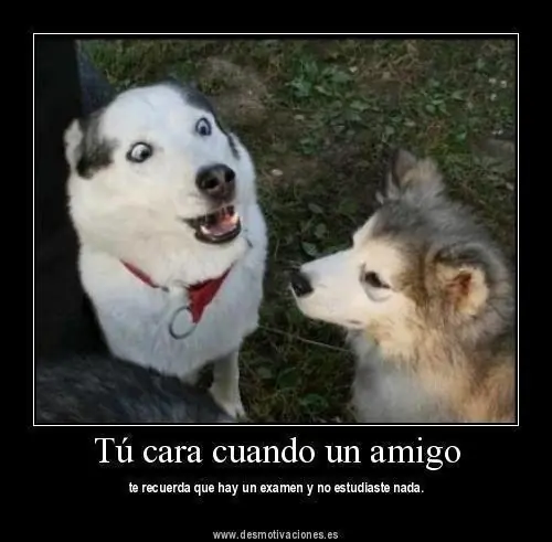 fail