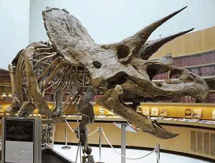 El misterio de los dinosaurios por fin revelado