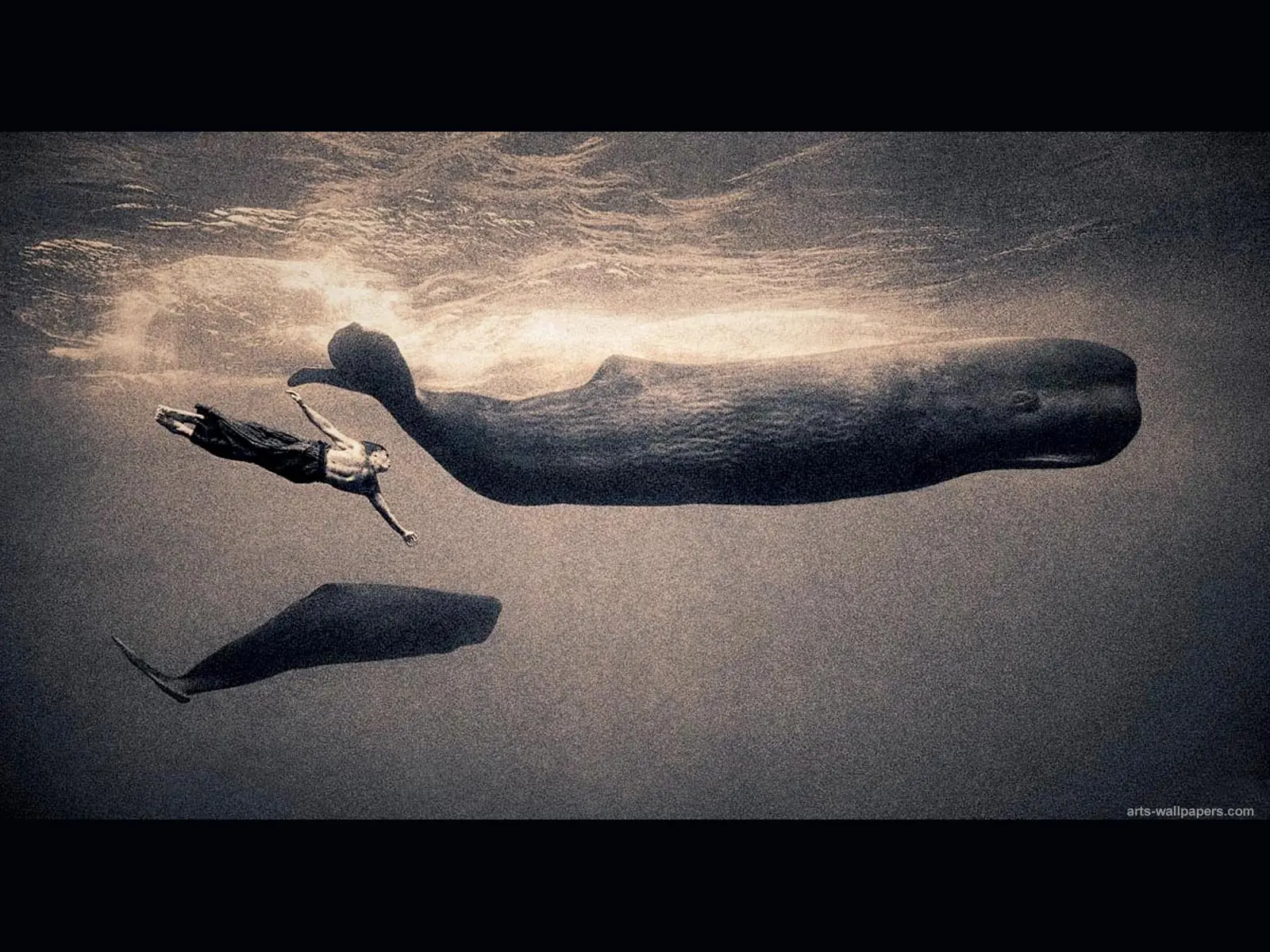 gregory colbert