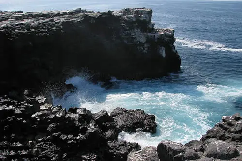 Galápagos, las islas encantadas...
