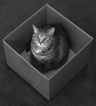 un