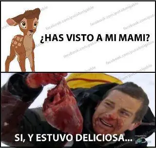 fotos