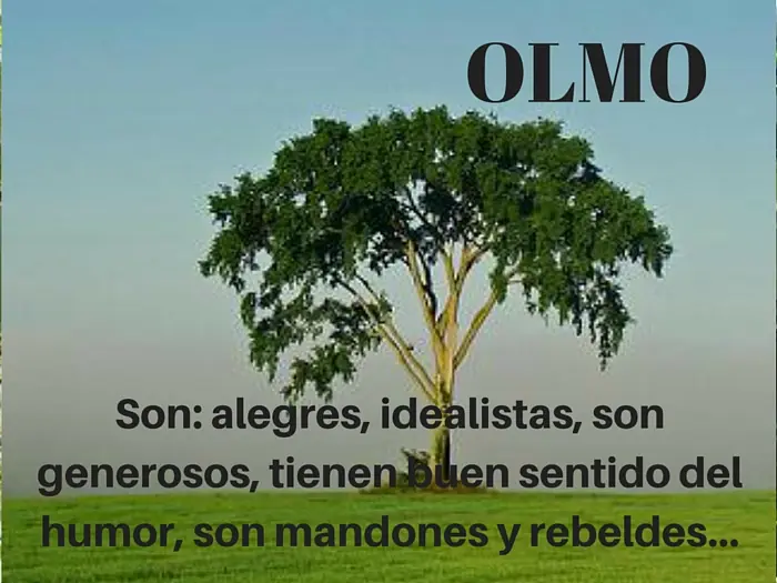 arboles