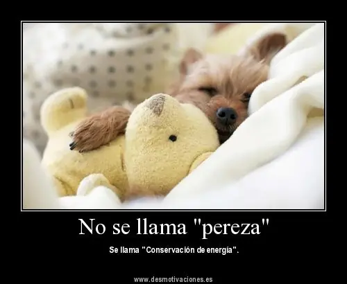 fail