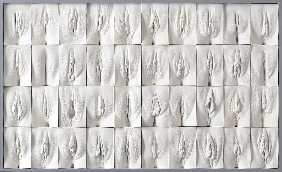 Vaginas