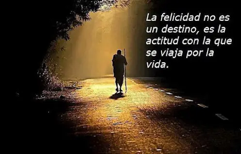 sentimientos
