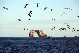 islas