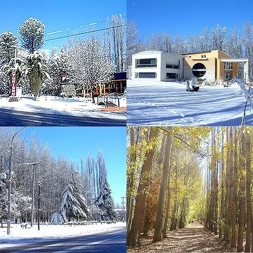 leñas