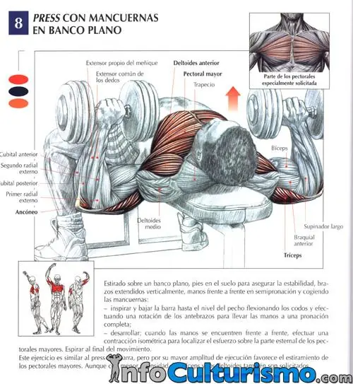 Rutina gym casero