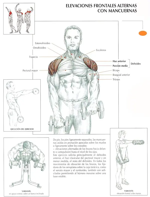 Rutina gym casero