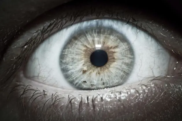 Las 10 pesadillas más comunes y sus significados